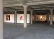 fixation-exhibit-2014-2