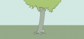 Bunny hiding_2015_News_DR