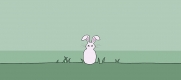 Bunny with ears_2015_News_DR