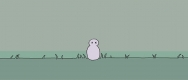 Lonely Bunny_2015_News_DR