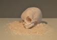oct-13-demo-gallery_-Good-Mourning-tis-of-thee
