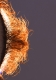 10_verticle-sun-right