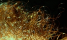 1_hair_the-dance