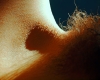 3_hair-scape-8