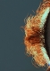9_verticle-sun-left