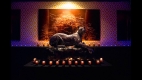 2.Pussy Shrine_SC_IN_Photo_2015