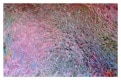 A-EXPRESSIONS-OF-THE-SPINE_Flow-Energy-of-the-Spine_web