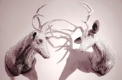 AAA-INCARNATION_Conjoined_web
