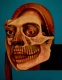 AAA-INCARNATION_Excarnation_web