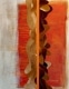 Forces-and-Counter-Forces-human-bovine-expression-90-x-60-House-paint-Argentinian-Bovine-hide-acid-free-glue-on-burlap_PA_Spines_2018