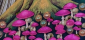 Idle Predecessors - balls and bugs