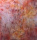 SUBJECT_Co-emergence_Corpse-Flowers_web