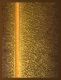 SUBJECT_EXPRESSIONS-OF-THE-SPINE_Divine-Spine_web