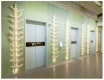 SUBJECT_EXPRESSIONS-OF-THE-SPINE_Emanating-and-Reflecting_web
