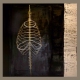 SUBJECT_EXPRESSIONS-OF-THE-SPINE_Spine-of-Hope_web