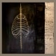 SUBJECT_GEFYRA_Rises-in-Darkness_web