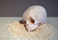 She_Cremation-Ash_2012_select_SC_IN