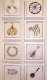 Devices - swarovski crystals and beads on paper