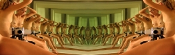 Parthenogenesis