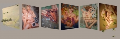 Pillow Book as Inheritance