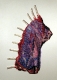 Ribs Shank