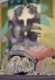 rule-34-shunga-